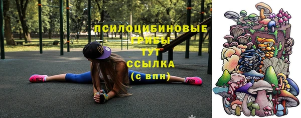 крисы Сосновоборск