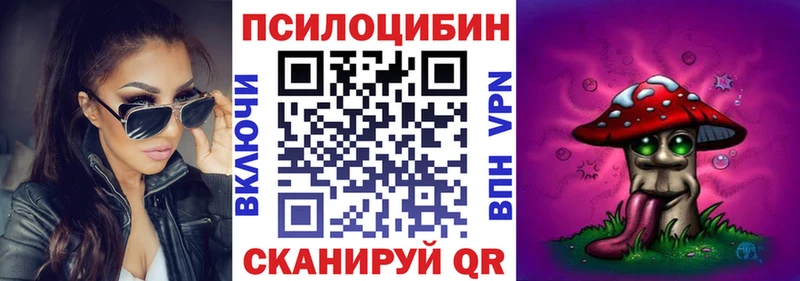 блэк спрут онион  купить наркотики цена  Первомайск  Псилоцибиновые грибы Psilocybine cubensis 